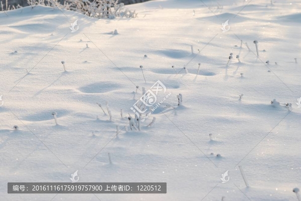 冬季積雪場(chǎng)。