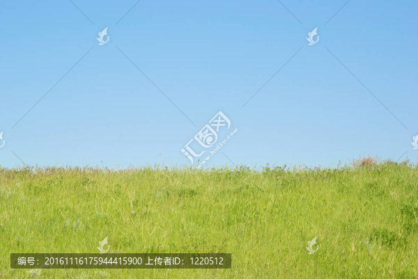 綠色景觀與云。