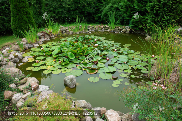 美麗古典園林魚池背景
