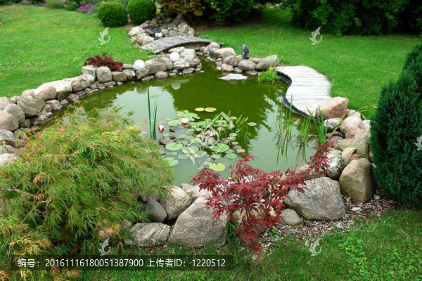 美麗的古典園林魚池設(shè)計(jì)在一個精心呵護(hù)的后院園藝背景