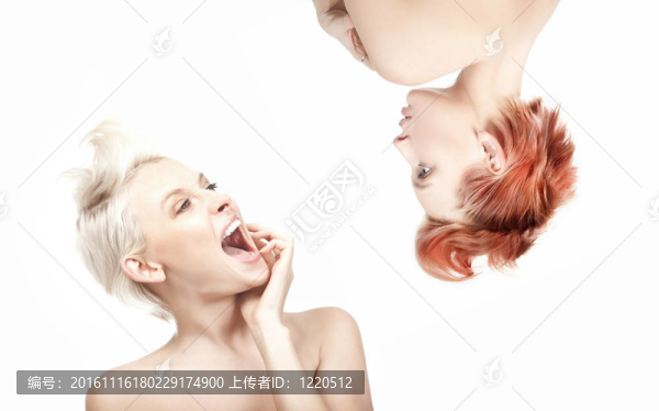 兩個美女作為元素的象征