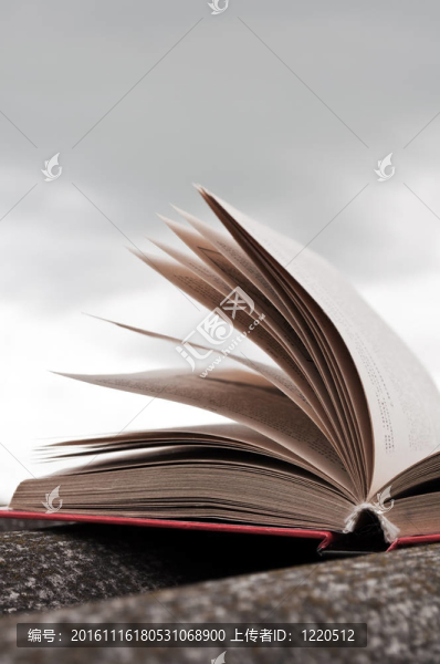 打開紅色的書