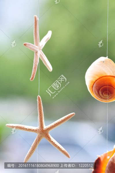 貝殼