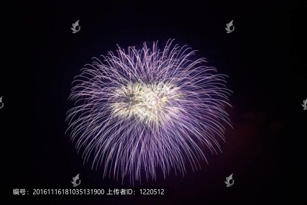 美麗的煙花