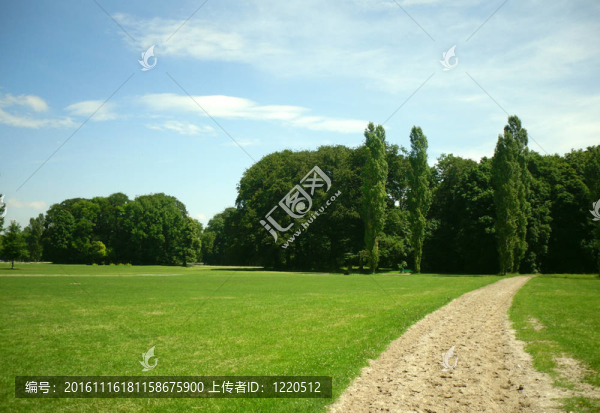 公園里的路