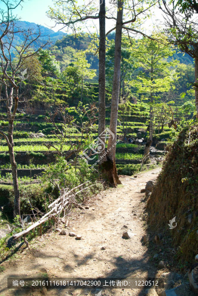 喜馬拉雅山藏族村。