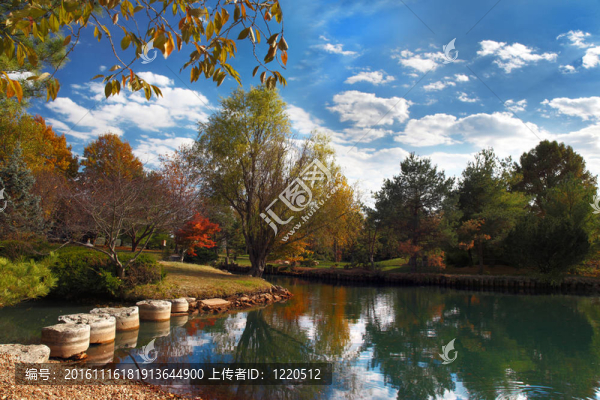 公園的秋天