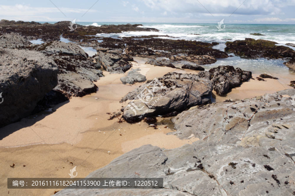 太平洋海岸