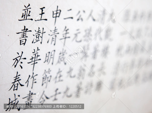 中國的象形文字