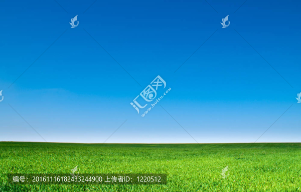 景觀