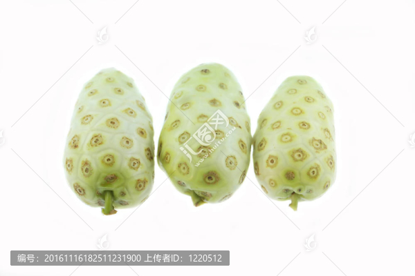 諾麗果