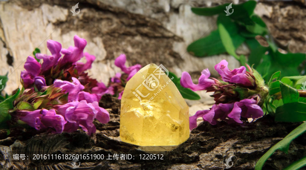 黃水晶寶石木材；與夏枯草花