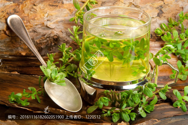 藥草治療茶從婆羅米語在一個(gè)木制的背景