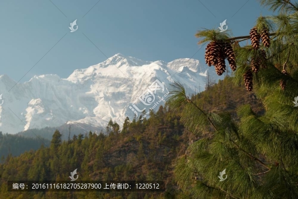 雪域山
