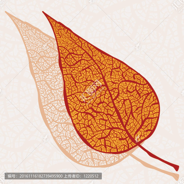 它的影子落vintageautumn葉