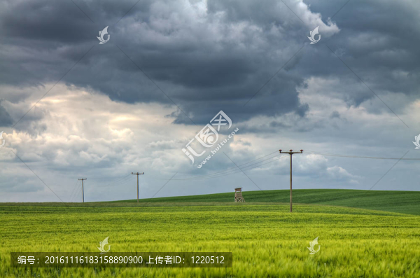 具有場上的電源極的景觀。
