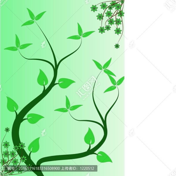 一個(gè)抽象的綠色花卉背景