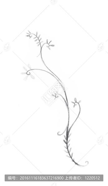 紋身藝術(shù)；部落的素描