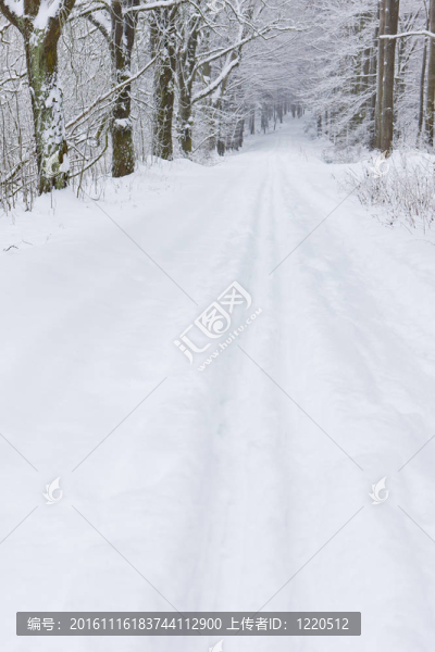 雪道；捷克共和國