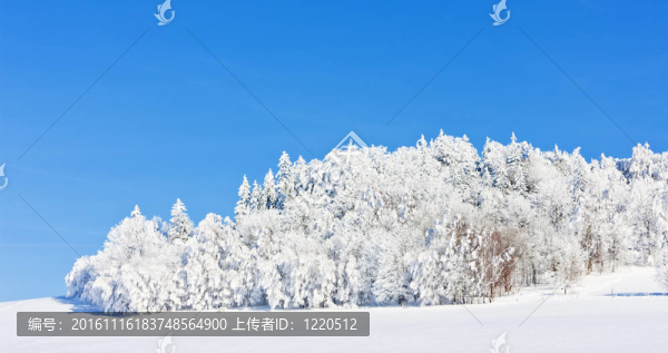 在冬天jeseniky山；捷克共和國