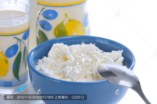 乳制品