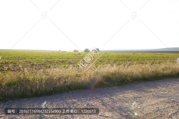 農(nóng)業(yè)領(lǐng)域