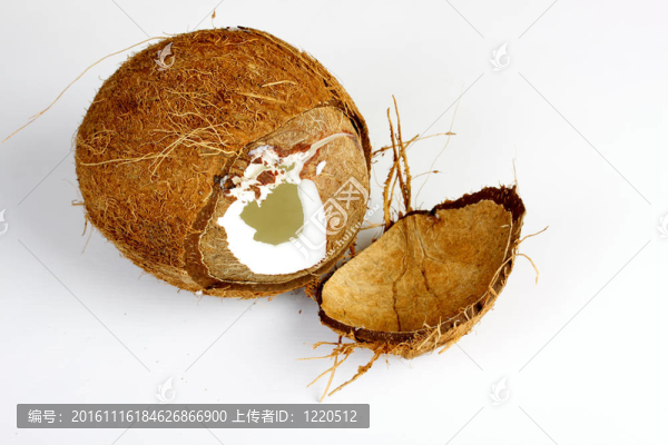 白色背景的椰子兩半