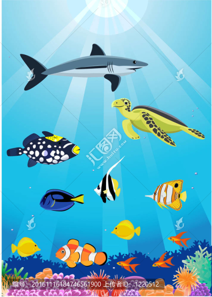 海上的生活