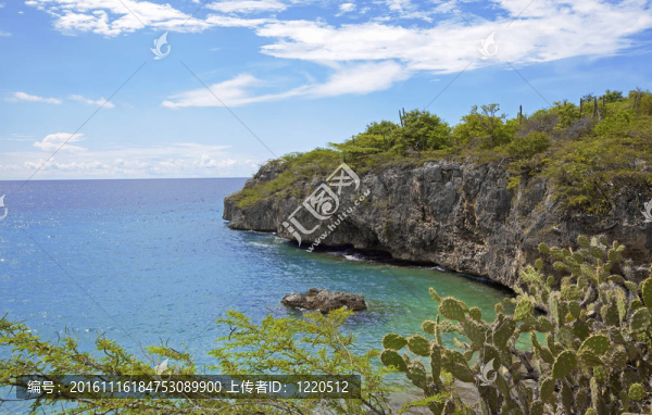 綠橙
