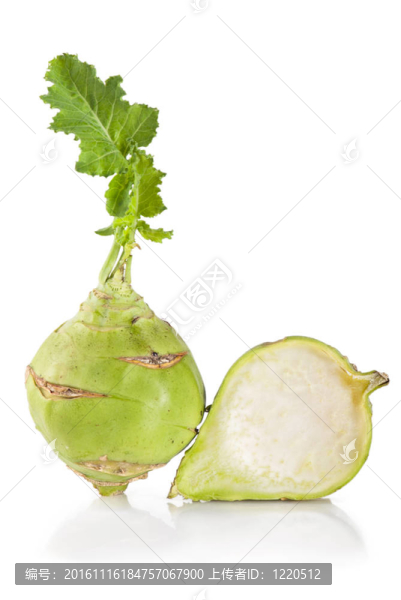 Kohlrabi白菜