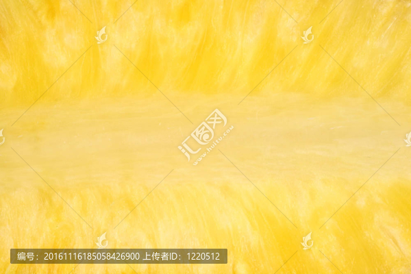 近距離菠蘿觀