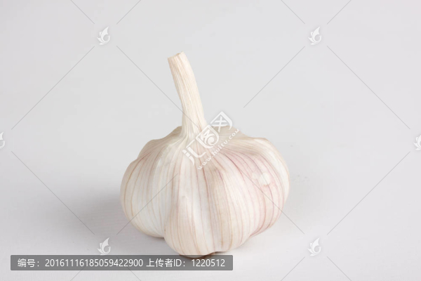 白色背景上分離的大蒜