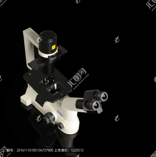 專業(yè)的顯微鏡