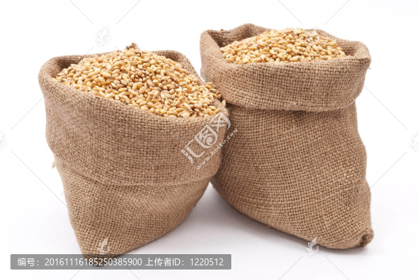 小麥籽粒袋