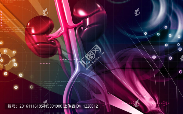 腎