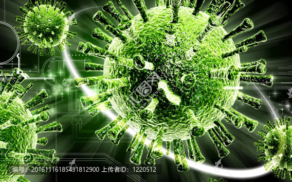 禽流感病毒