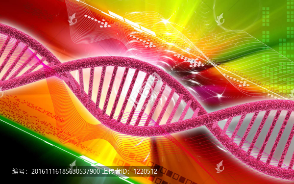 DNA