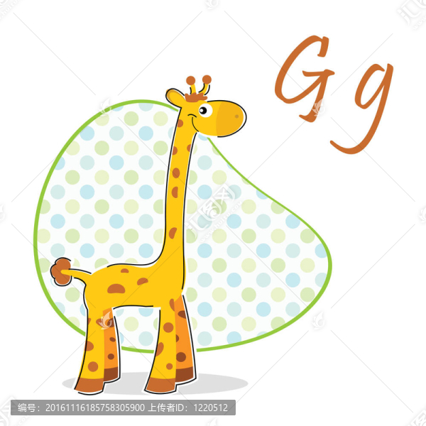 G的長(zhǎng)頸鹿