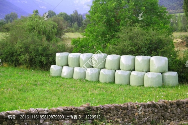 麥片包綠色的圓蓋上保鮮膜