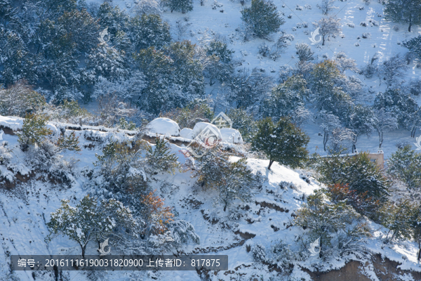 雪景