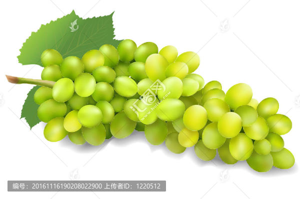 一串綠色葡萄