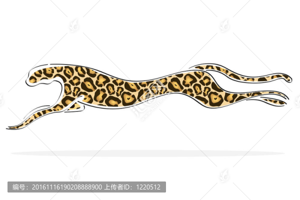 豹子奔跑