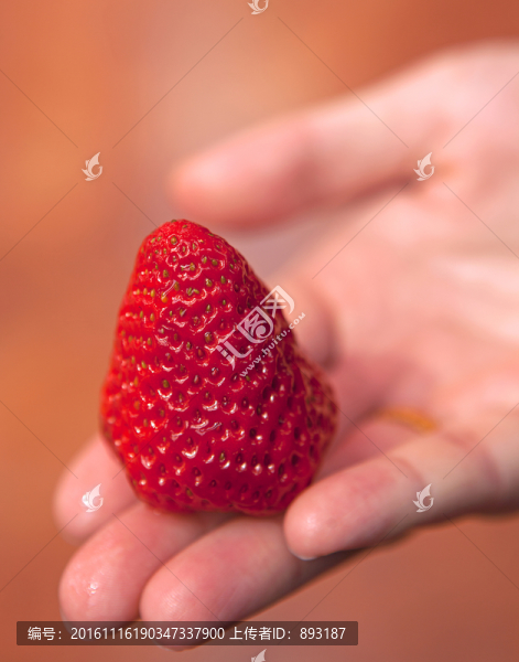 手中的草莓