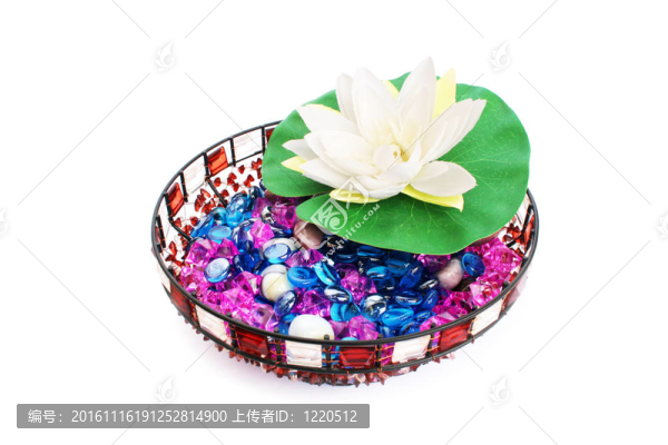 用石頭和lottus花瓶
