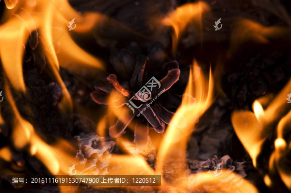 燃燒。