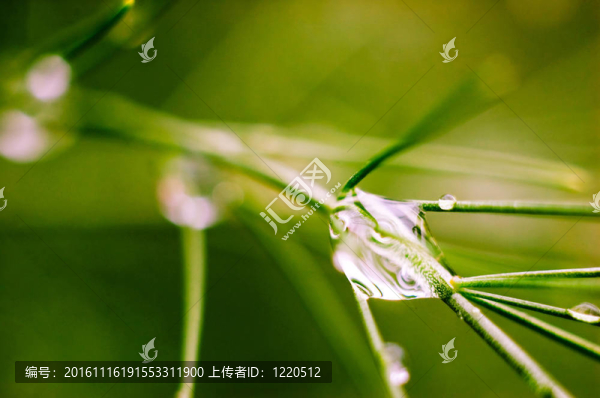 水滴。