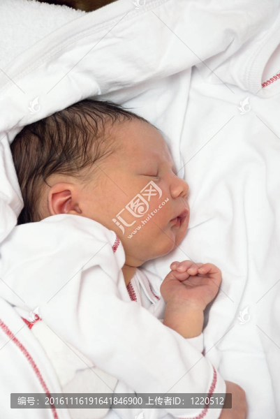 可愛的小新生兒