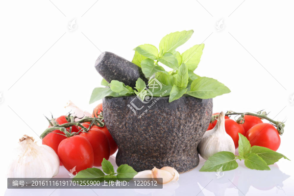 隔離砂漿和成分