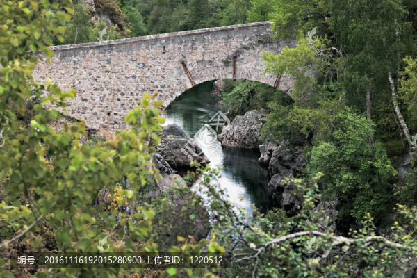 在河Feshie橋