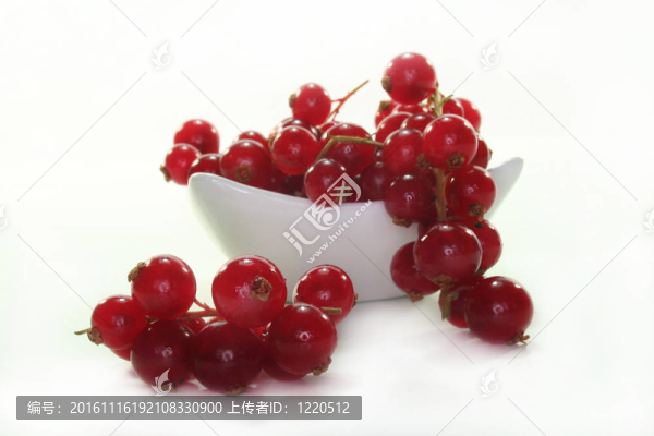 紅醋栗